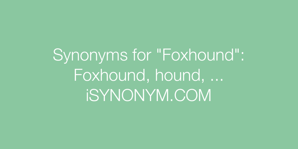 Synonyms Foxhound