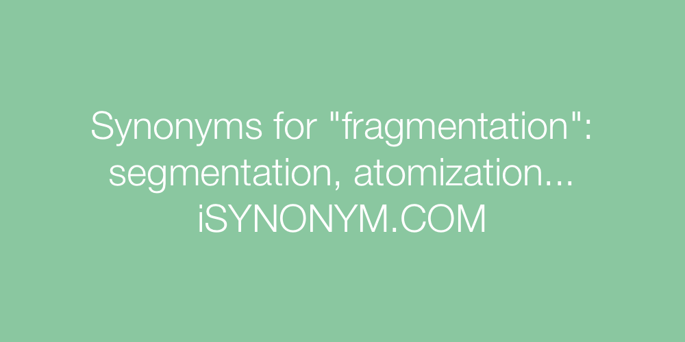 Synonyms fragmentation