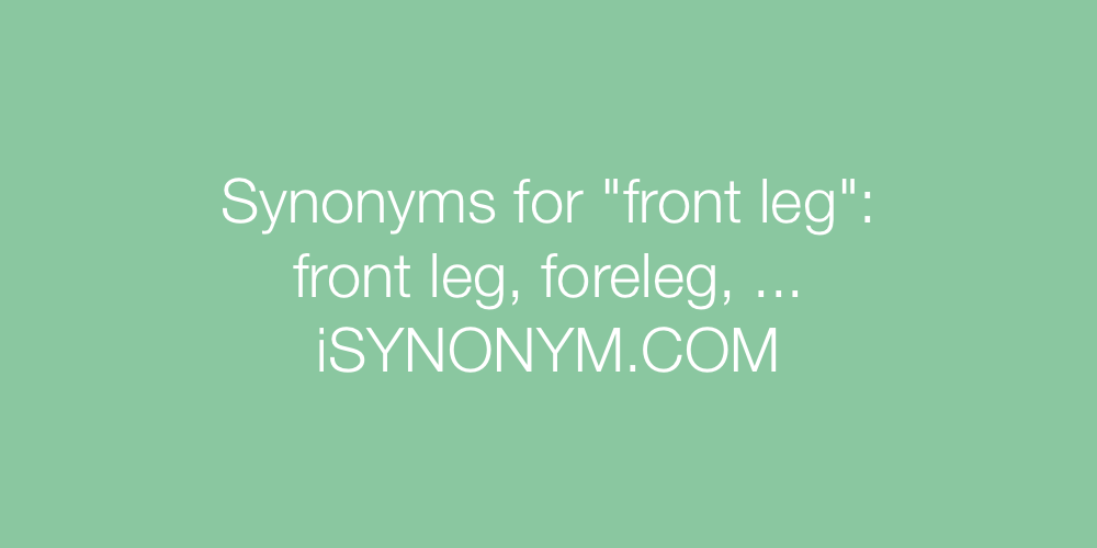 Synonyms front leg