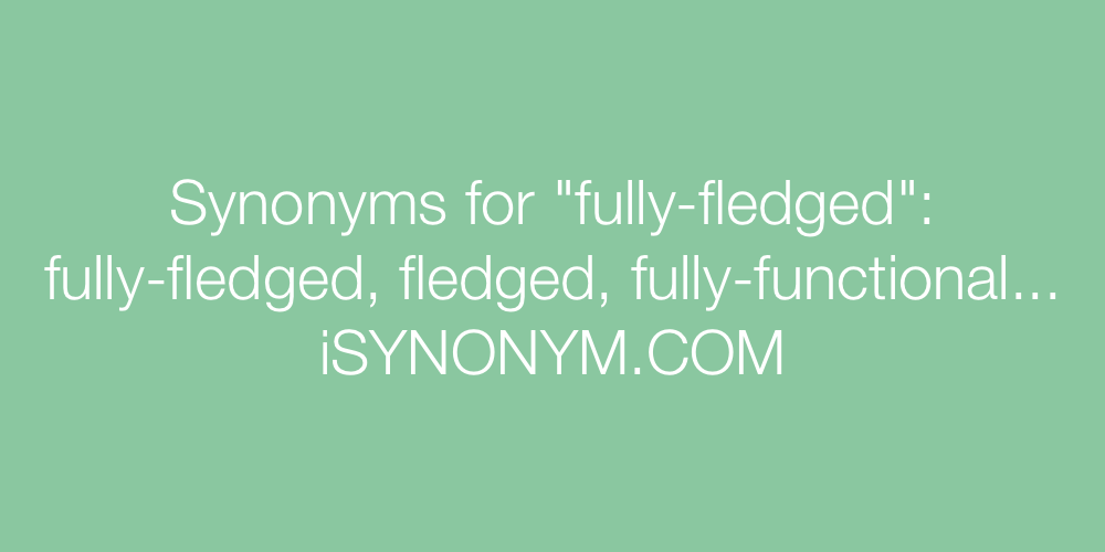 Synonyms fully-fledged