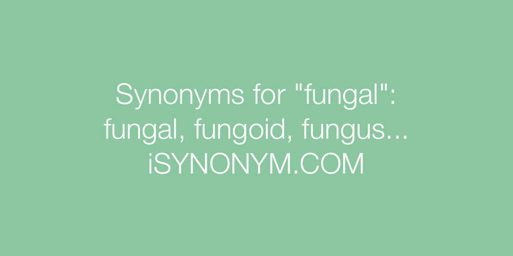 Synonyms fungal