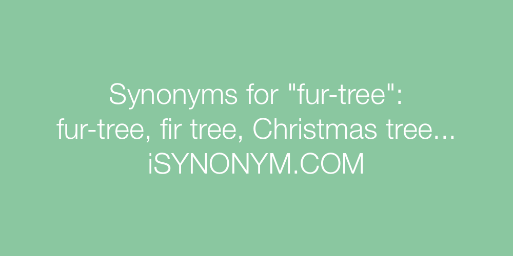 Synonyms fur-tree