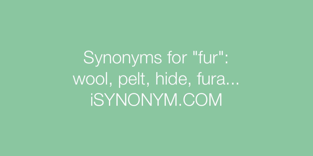 Synonyms fur
