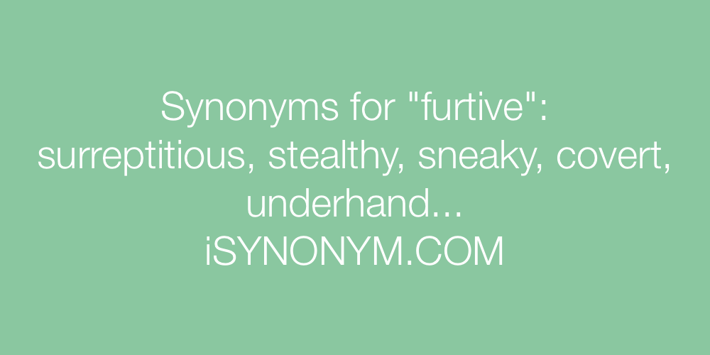 Synonyms furtive