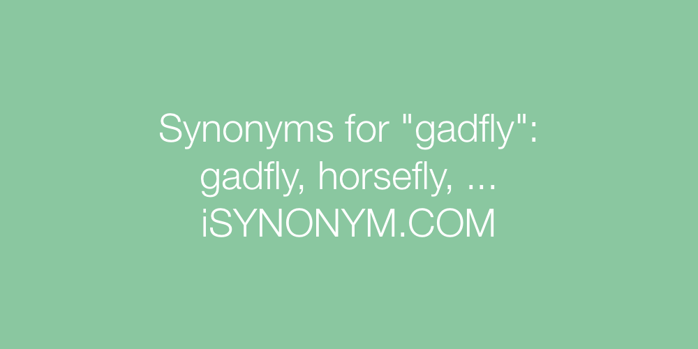 Synonyms gadfly