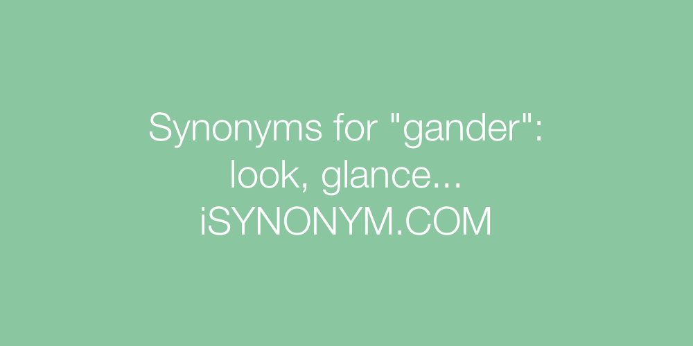 Synonyms gander