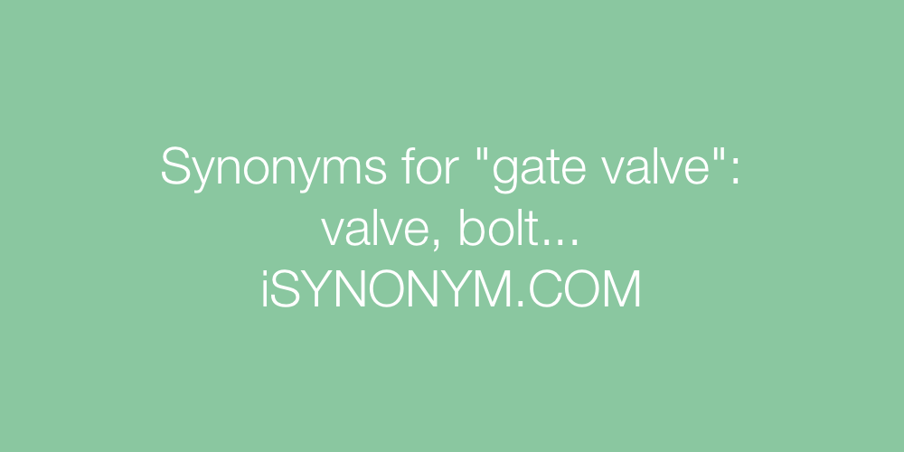 Synonyms gate valve