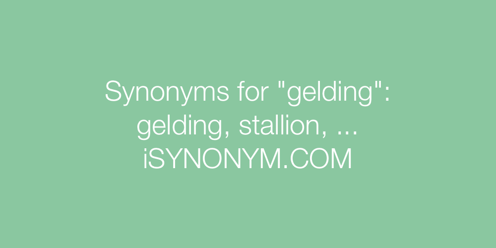 Synonyms gelding
