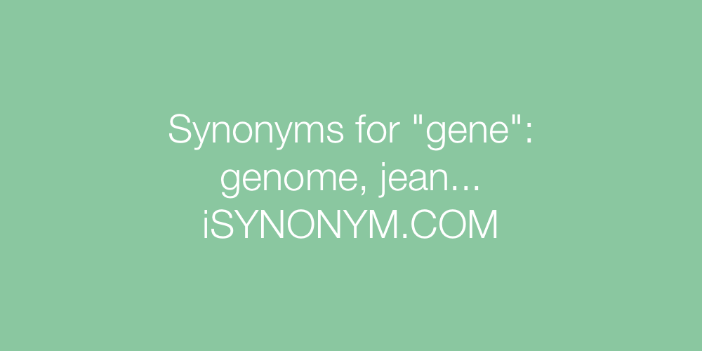 Synonyms gene