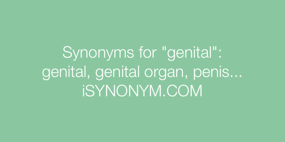 Synonyms genital