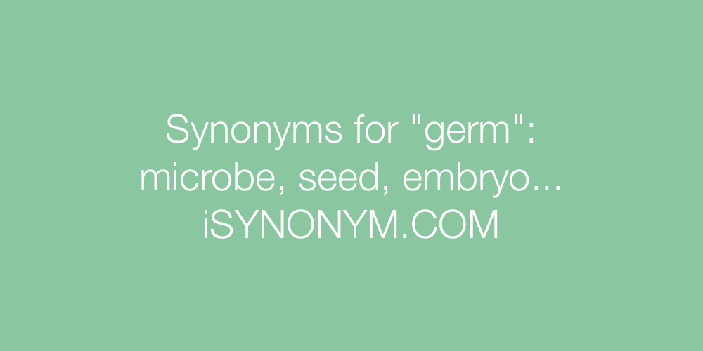 Synonyms germ