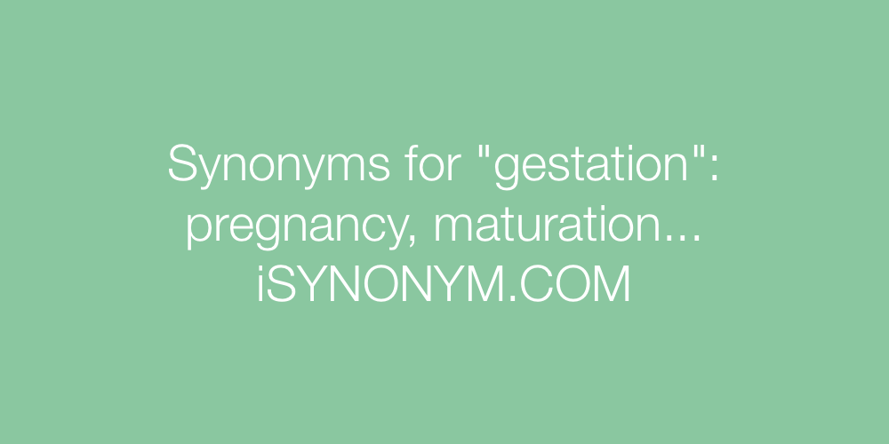 Synonyms gestation