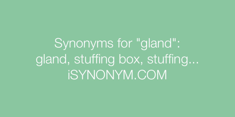 Synonyms gland