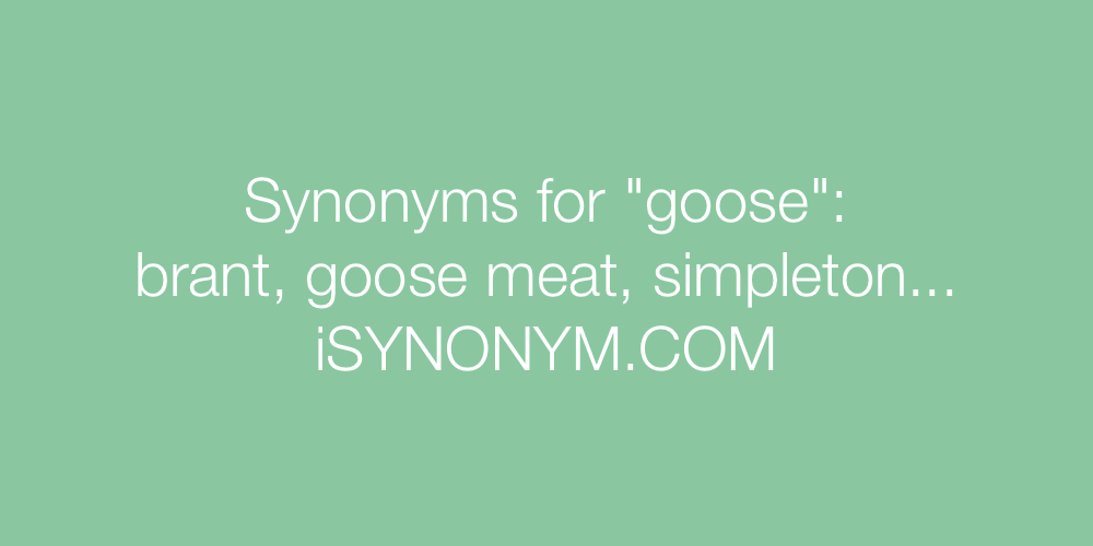 Synonyms goose