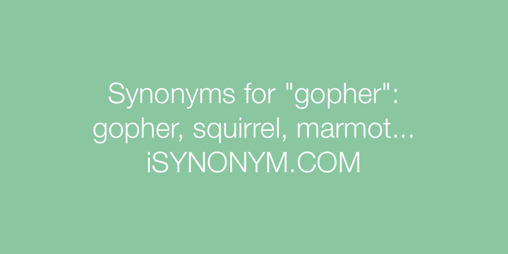 Synonyms gopher