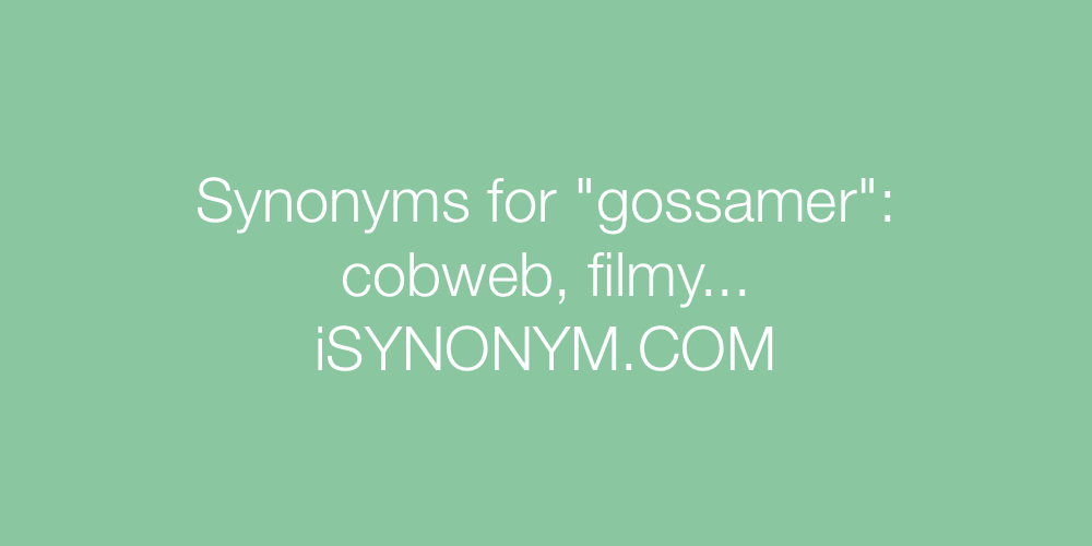 Synonyms gossamer