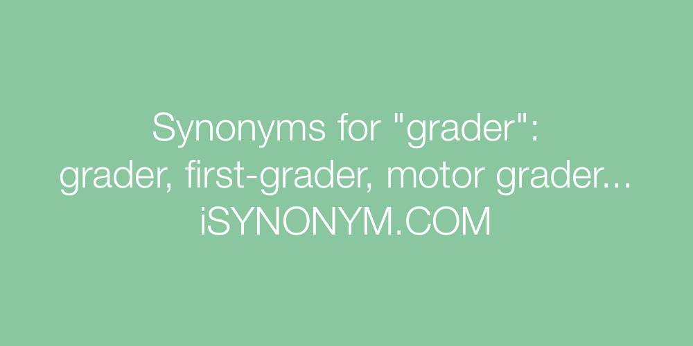 Synonyms grader