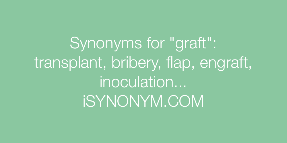 Synonyms graft