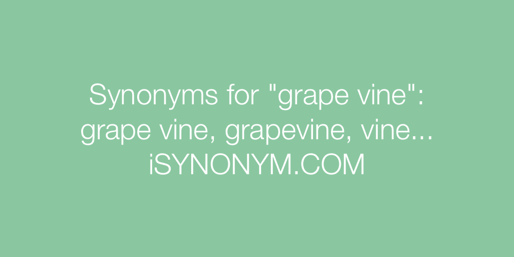 Synonyms grape vine