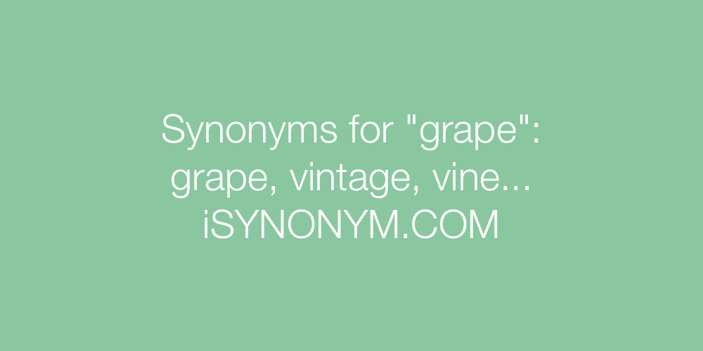 Synonyms grape