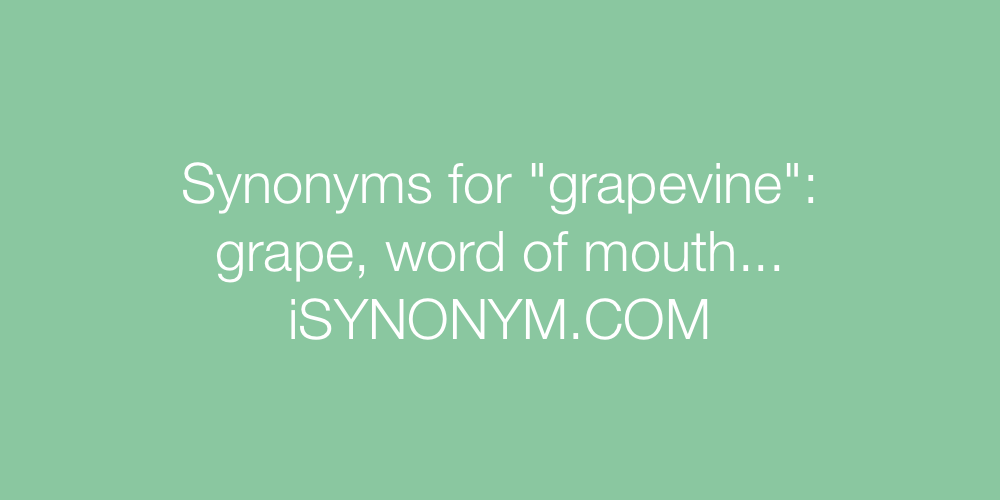 Synonyms grapevine