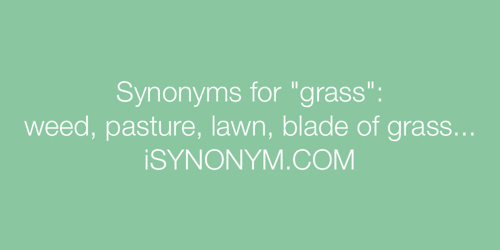 Synonyms grass