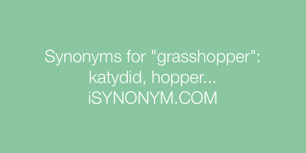 Synonyms grasshopper