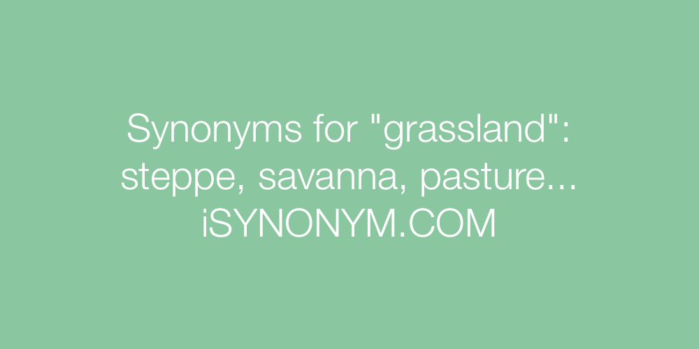 Synonyms grassland