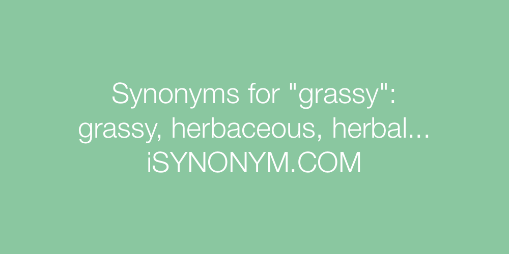 Synonyms grassy