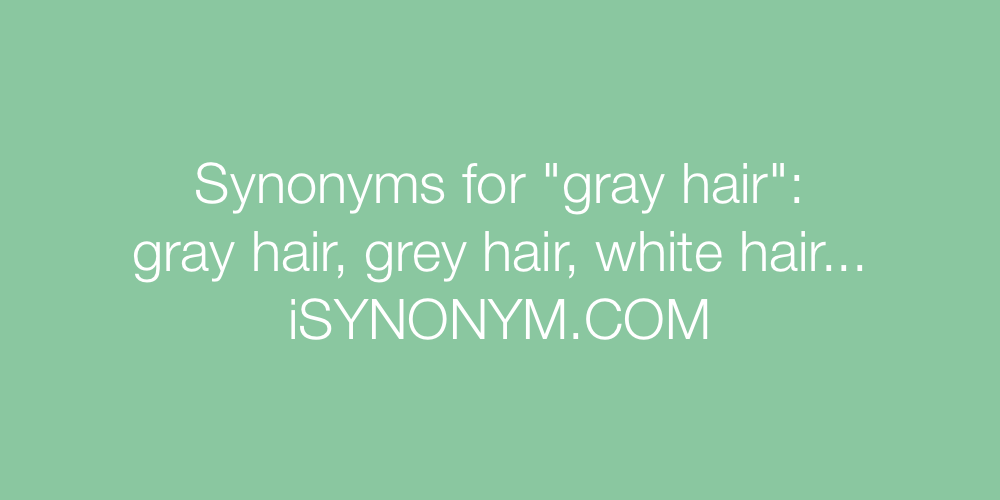 Synonyms gray hair