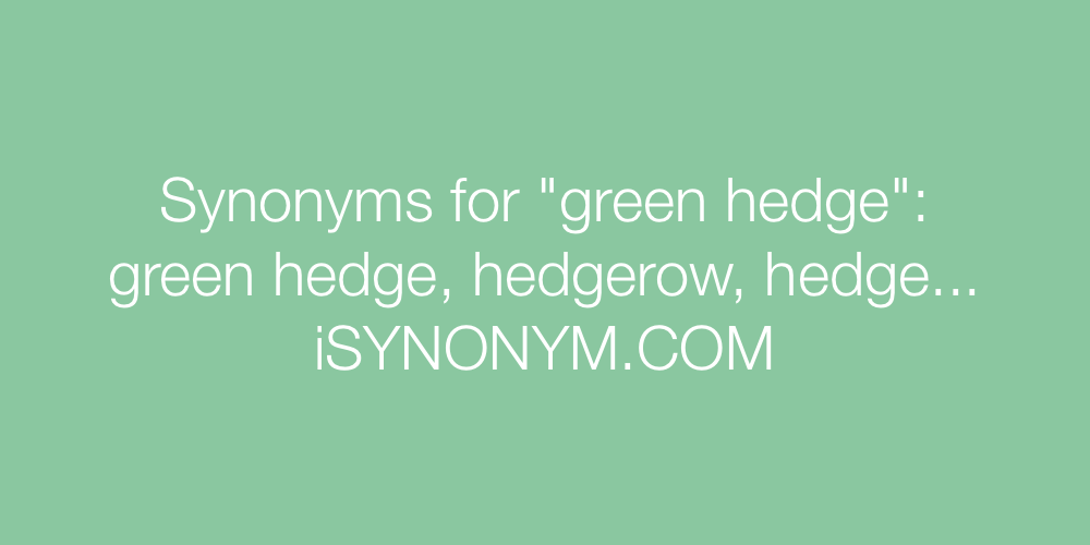 Synonyms green hedge