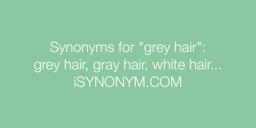Synonyms grey hair