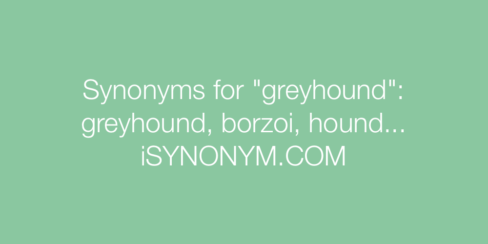 Synonyms greyhound