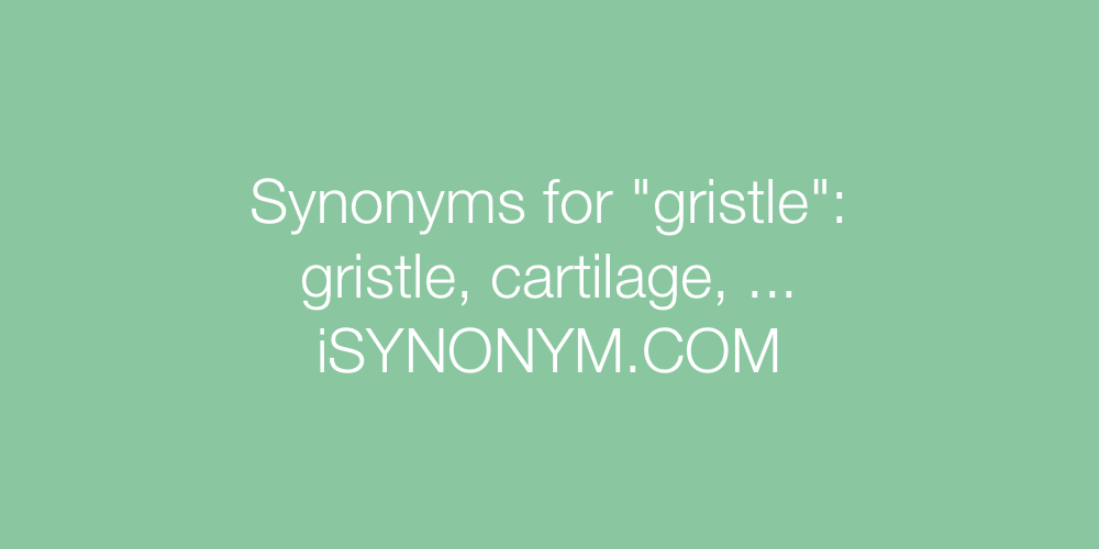 Synonyms gristle
