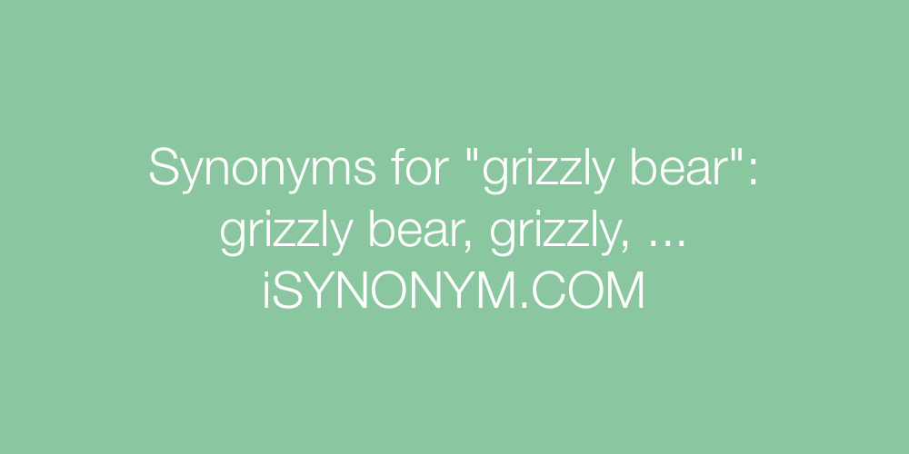 Synonyms grizzly bear
