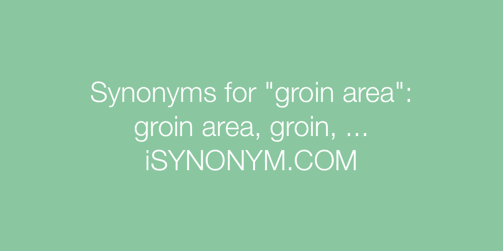 Synonyms groin area