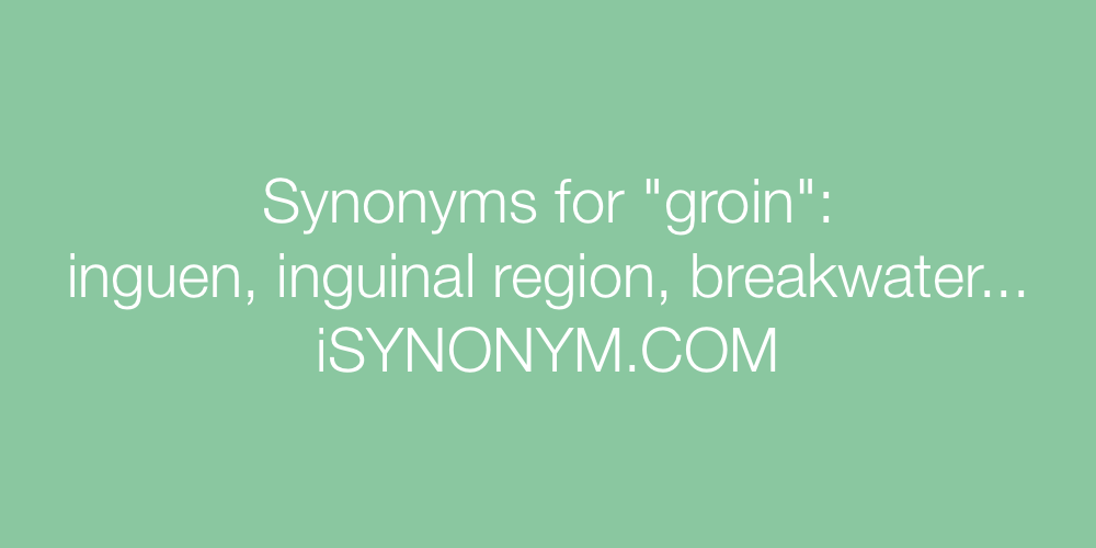 Synonyms groin