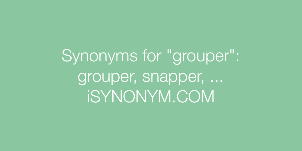 Synonyms grouper
