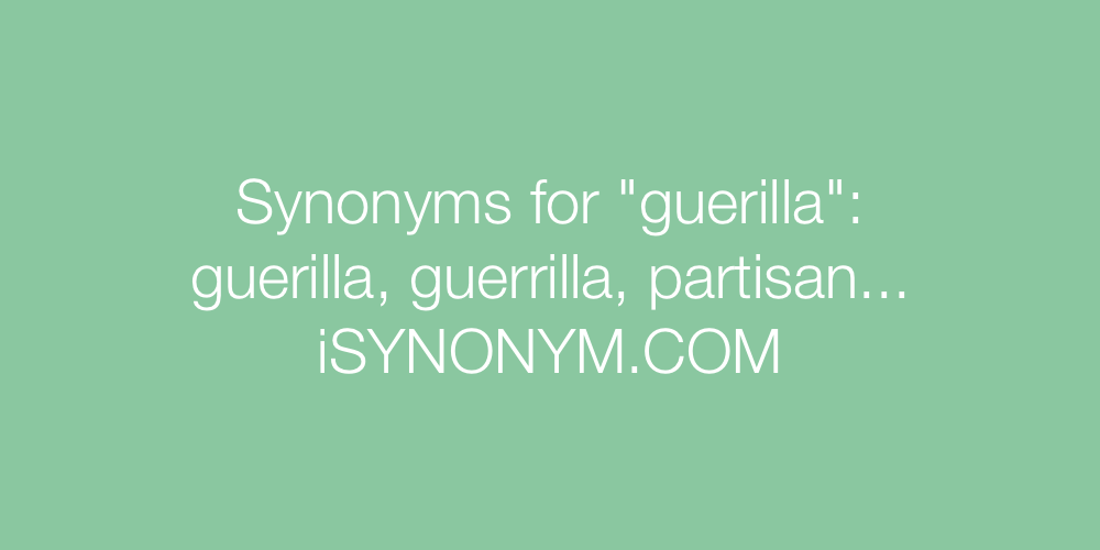 Synonyms guerilla