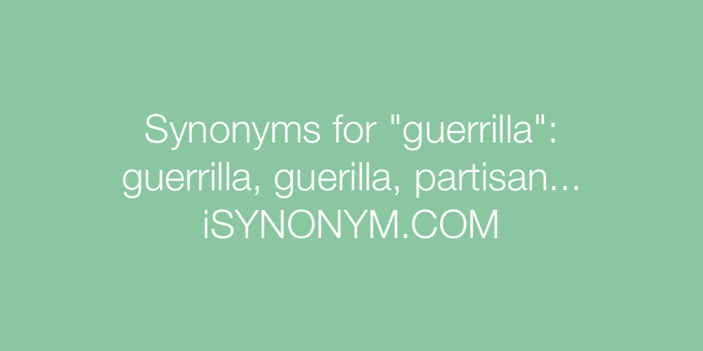 Synonyms guerrilla
