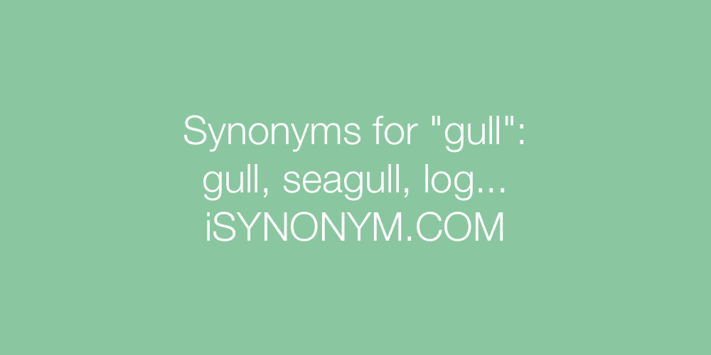 Synonyms gull