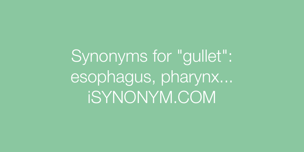 Synonyms gullet