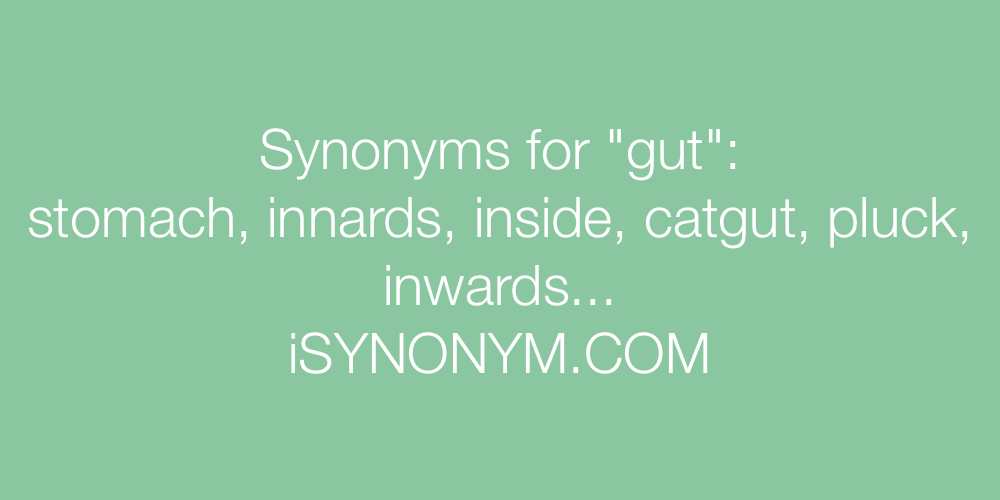 Synonyms gut