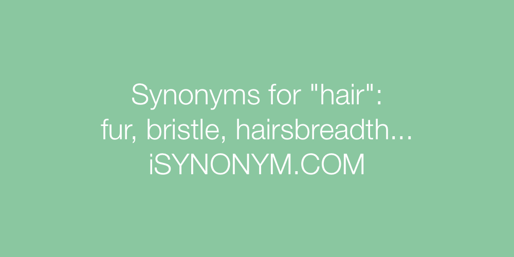 Synonyms hair