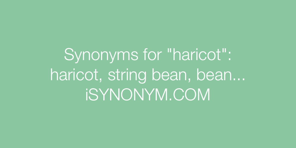 Synonyms haricot