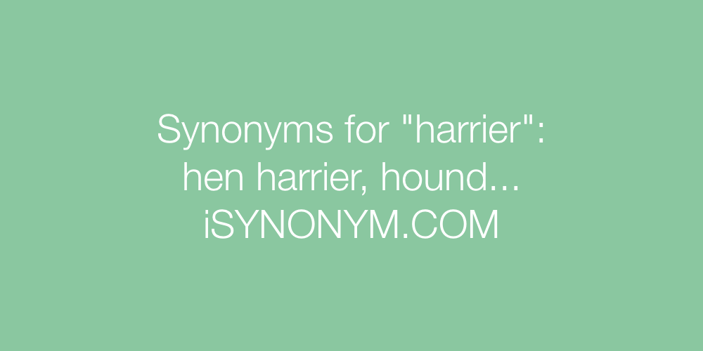 Synonyms harrier