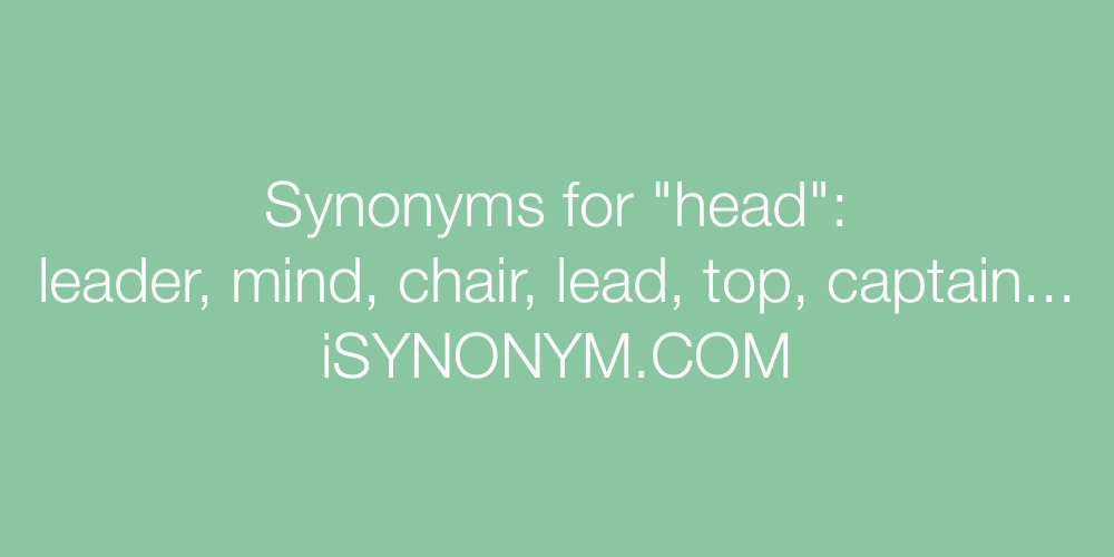 Synonyms head