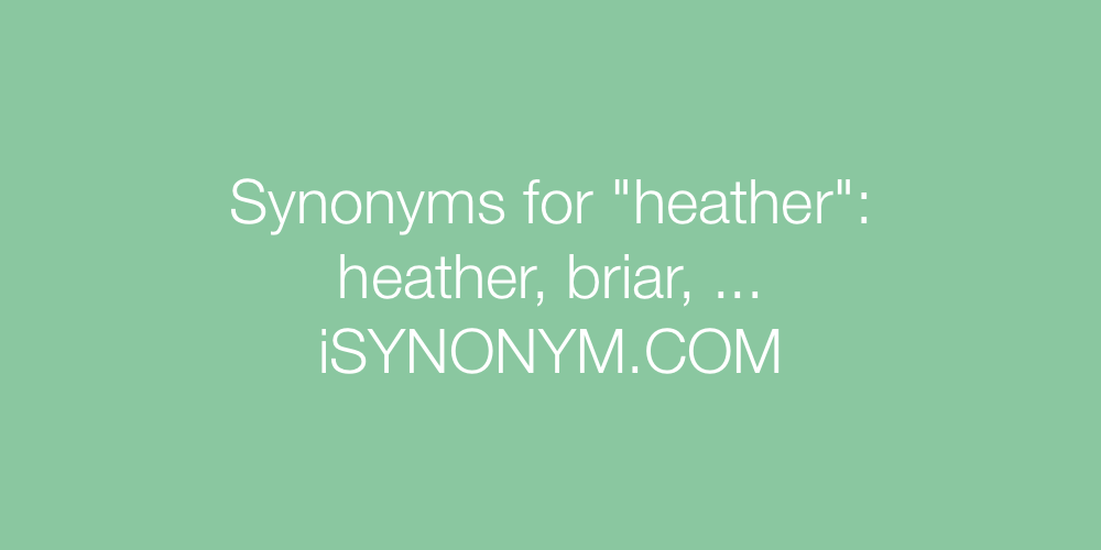 Synonyms heather