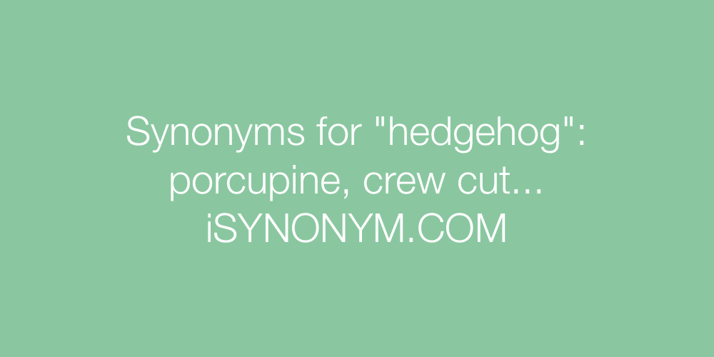 Synonyms hedgehog