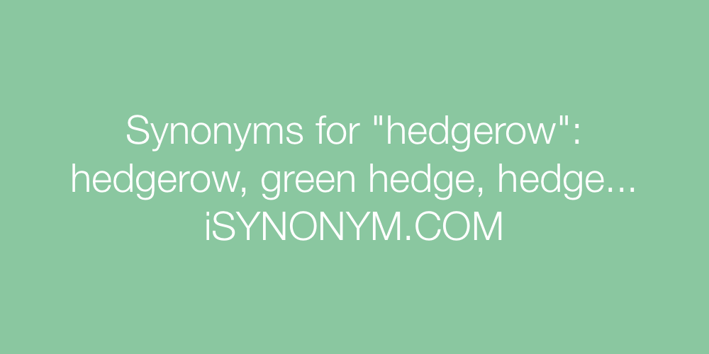 Synonyms hedgerow